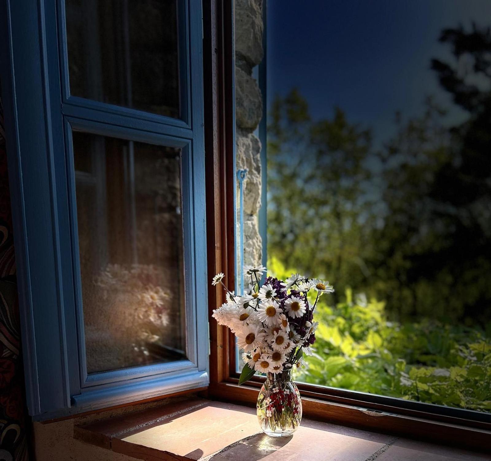 Le Clos Pastel Chambres D'Hotes & Gite Virac Eksteriør bilde